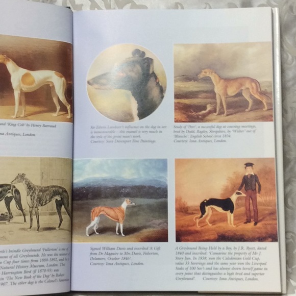 The Ultimate Greyhound Edited by Mark Sullivan. BUY 1 GET 1 FREE. - Picture 4 of 13